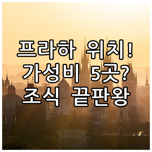 바츨라프 광장 프라하 1구역 호텔 5..