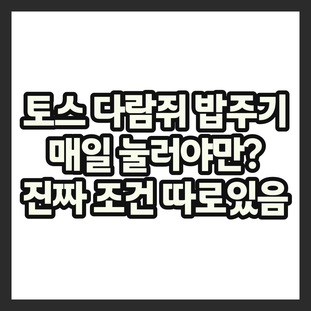 토스 다람쥐 밥주기 몇명까지 가능할까, 리워드 쌓이는 구조 정리