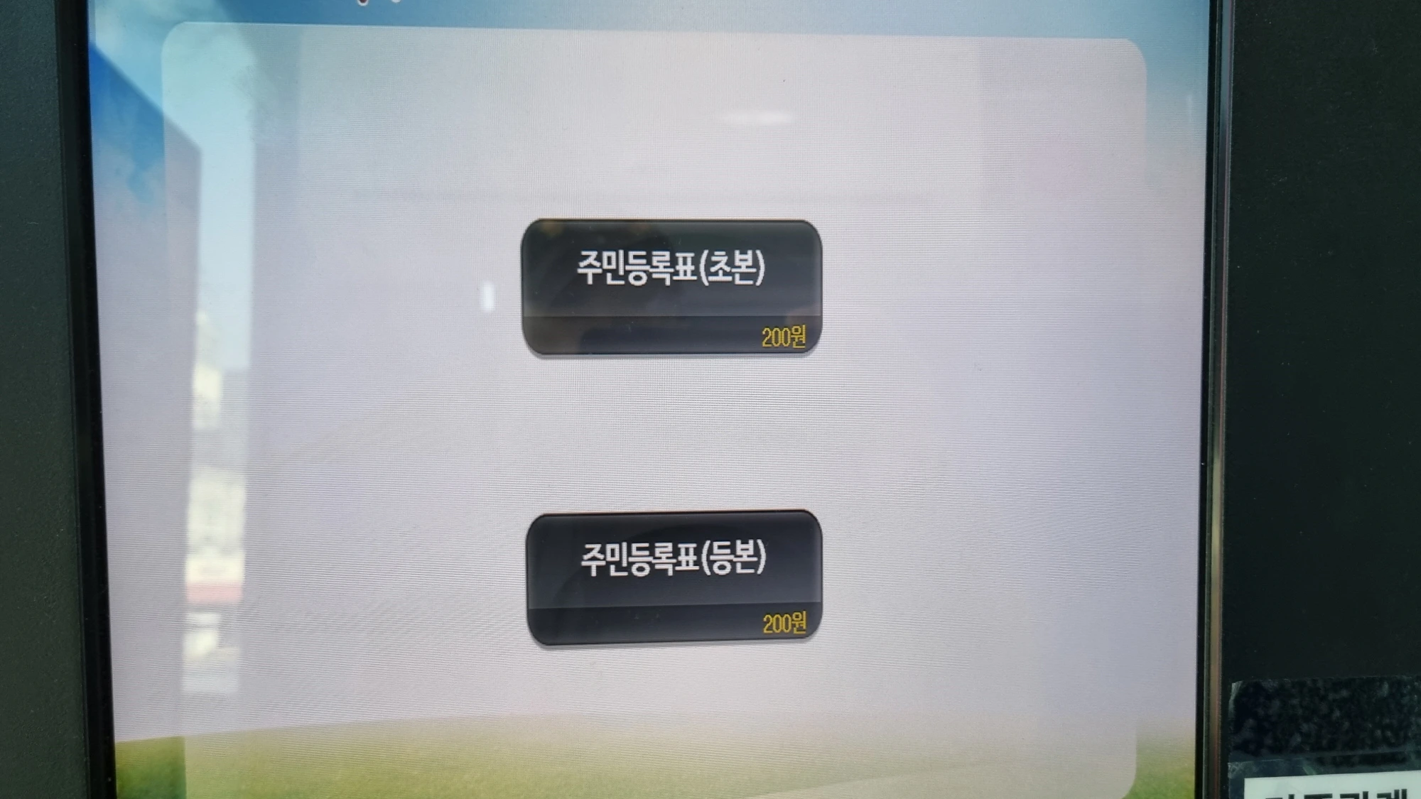 등본 초본 선택 화면