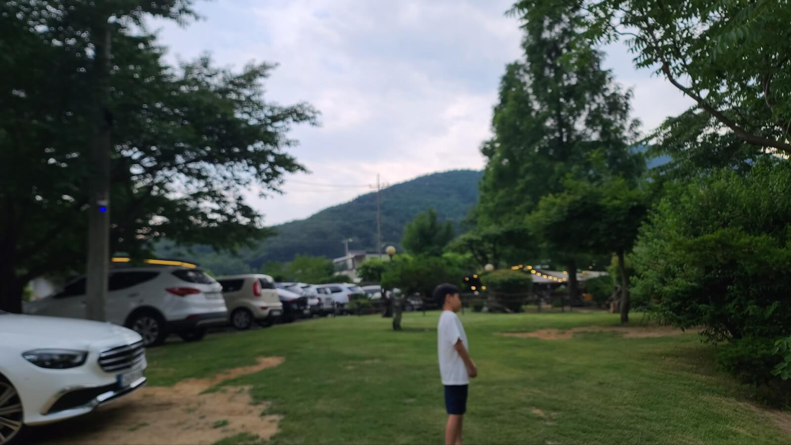 주차