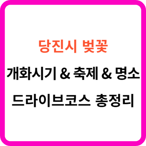 당진 벚꽃 개화시기 명소 드라이브 코스 축제 총정리