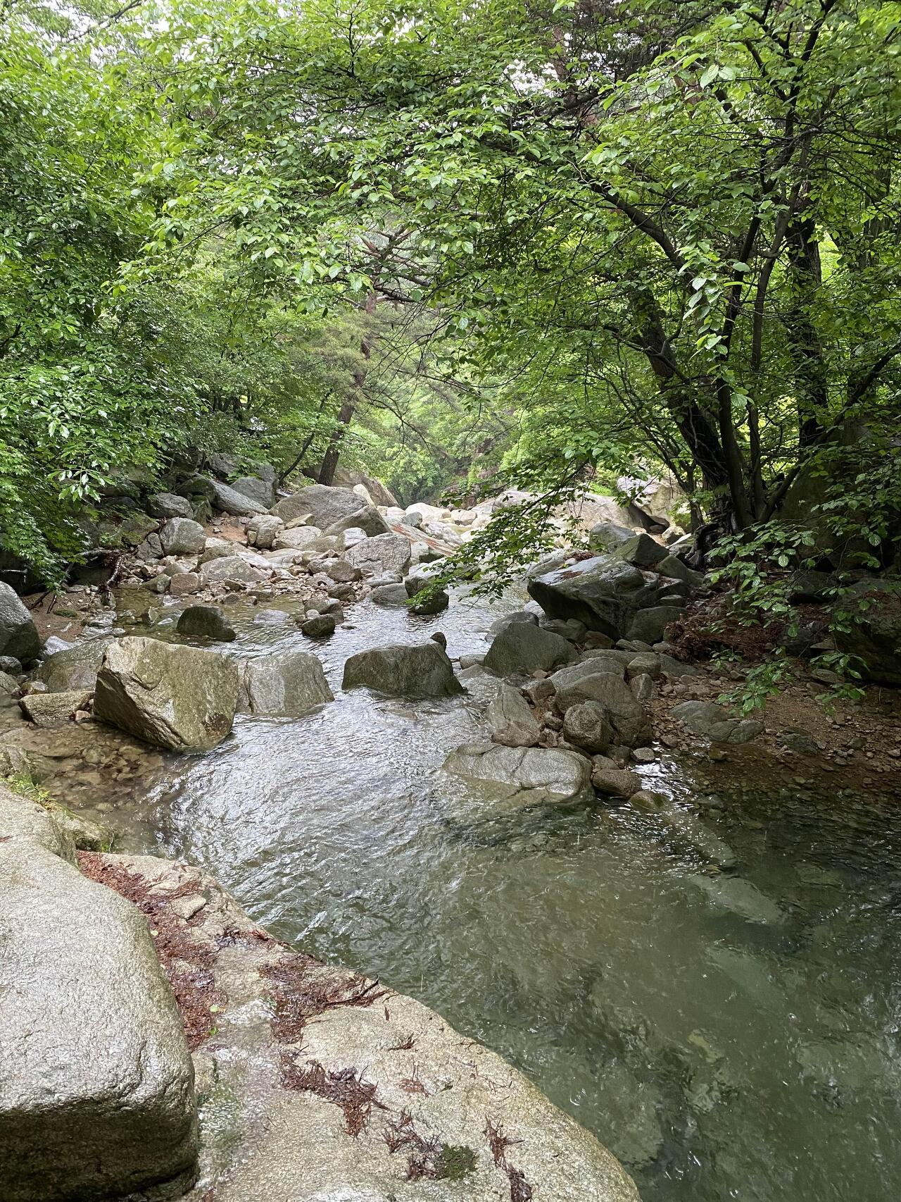 하산계곡길