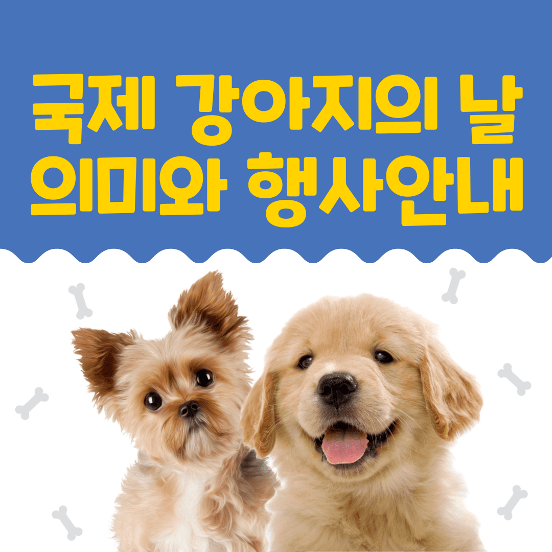 국제 강아지의 날 의미