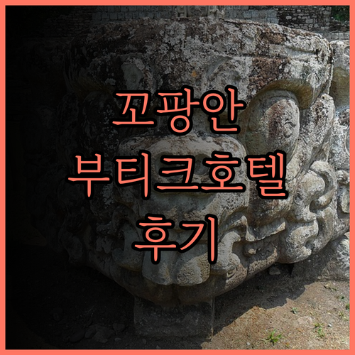 팟차라 부티크 호텔 - 호스텔.. 꼬