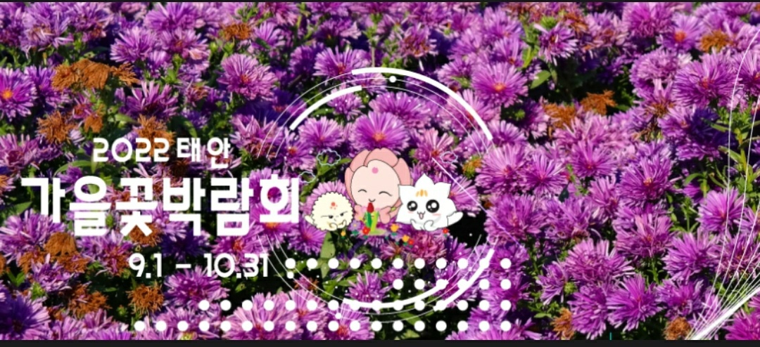 가을 꽃 축제 일정과 지역