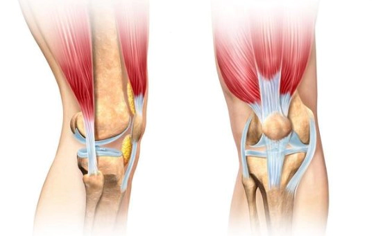 인대 파열 치료법과 과정 