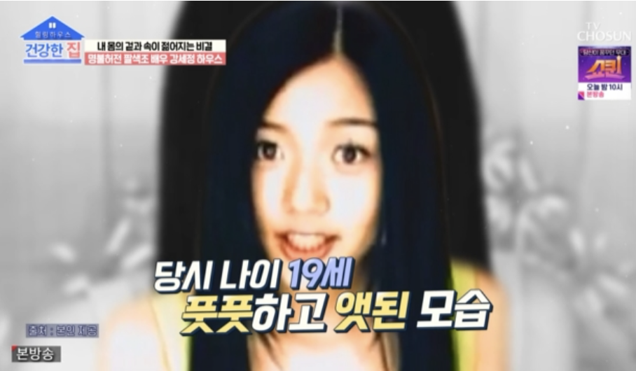 배우-강세정