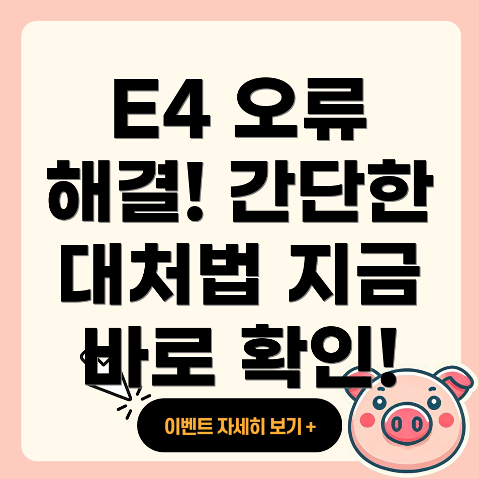 에러 코드 E4