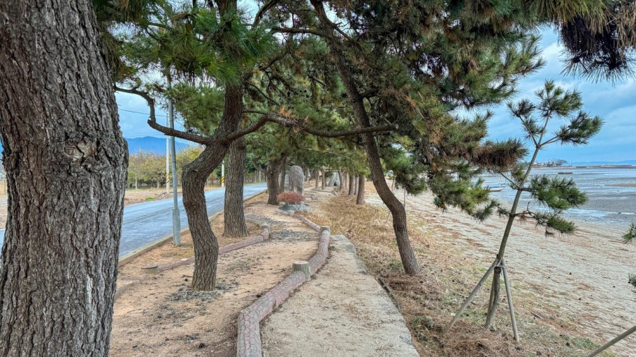 장흥 가볼만한곳 베스트10