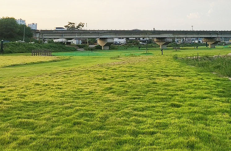 천안 풍서천파크골프장 소개