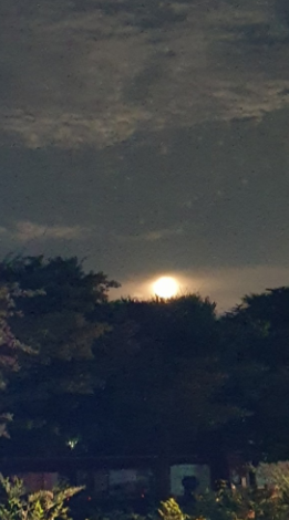 보름달