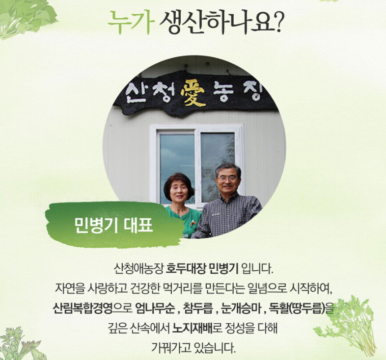 경남 산청 산나물 &lsquo;눈개승마&rsquo; 구매처