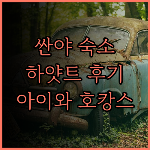 싼야 톈리완 하얏트 리젠시 호텔 완벽