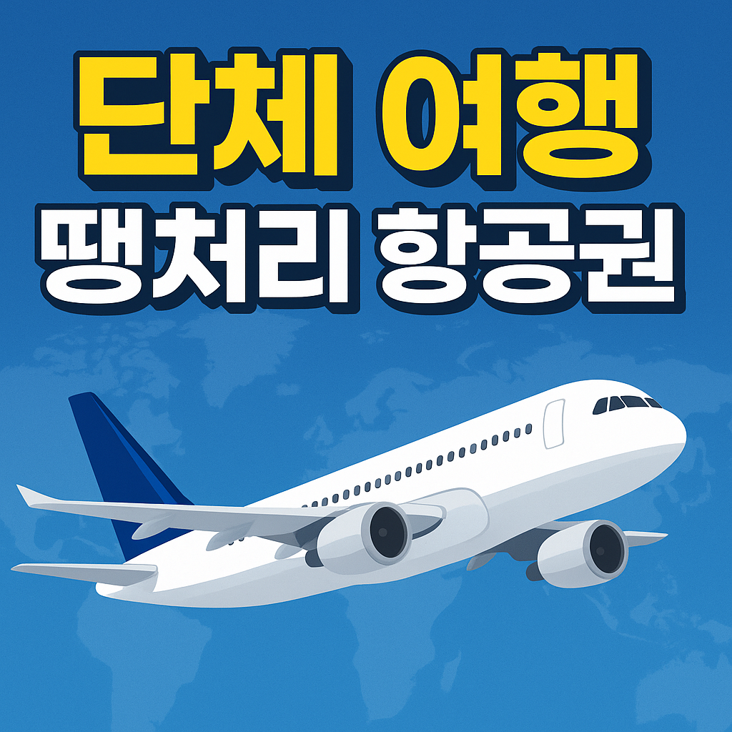 단체 여행 땡처리 항공권