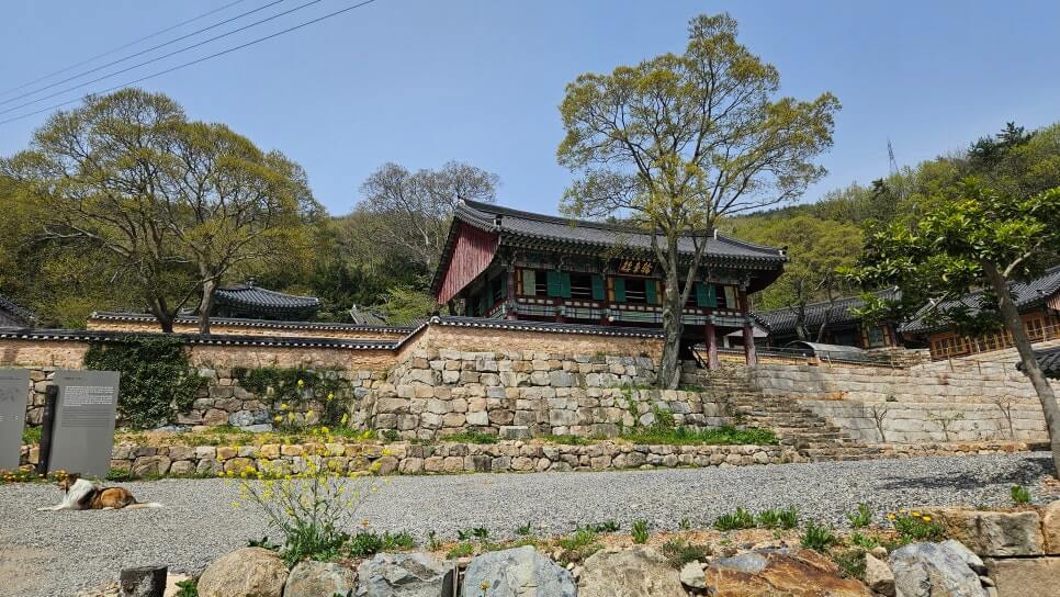 해남 서동사 : 보물 대웅전과 동백 숲이 건네는 천년의 위로