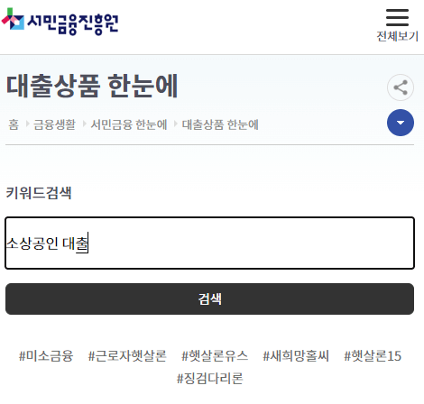 소상공인 정책자금