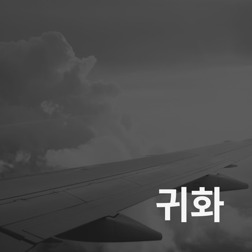 귀화