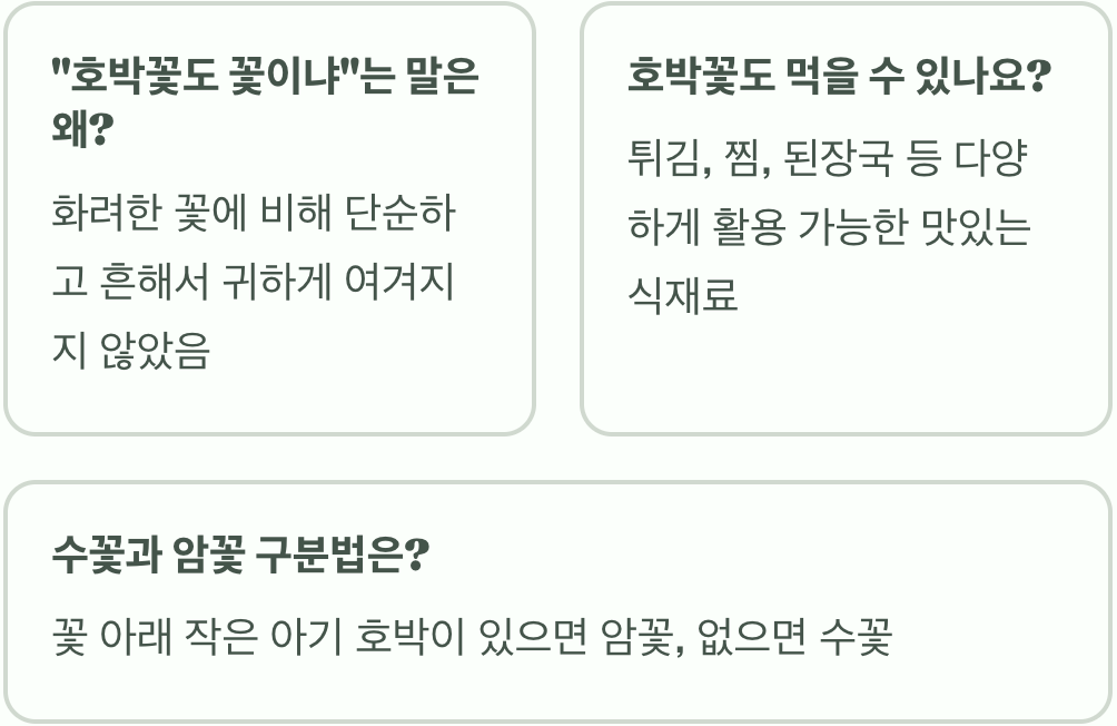 호박꽃 꽃말과 상징적 의미 총정리
