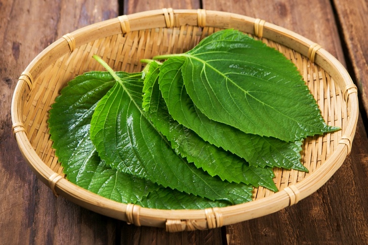 깻잎효능