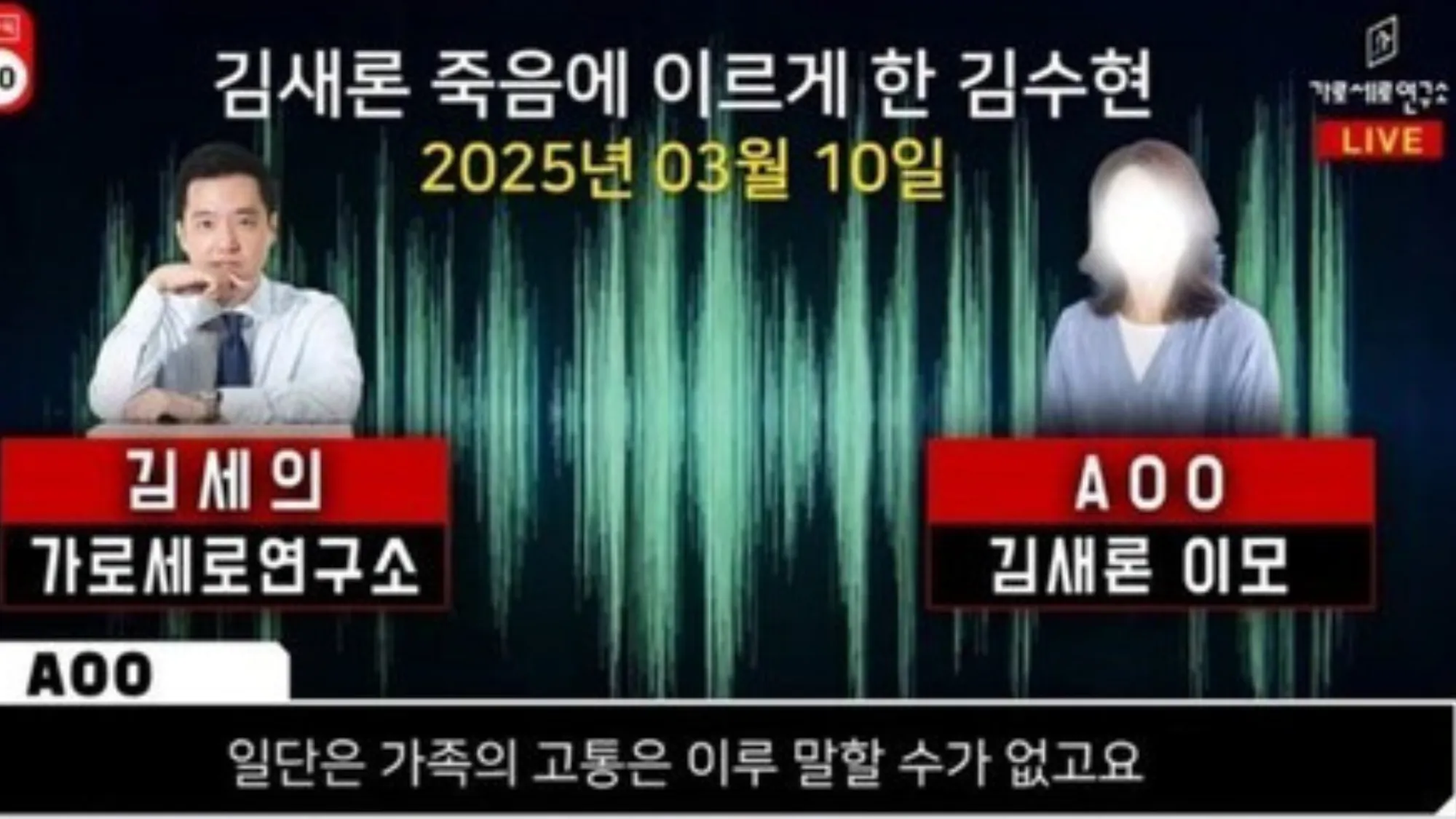 김수현 유족 가세연 고소