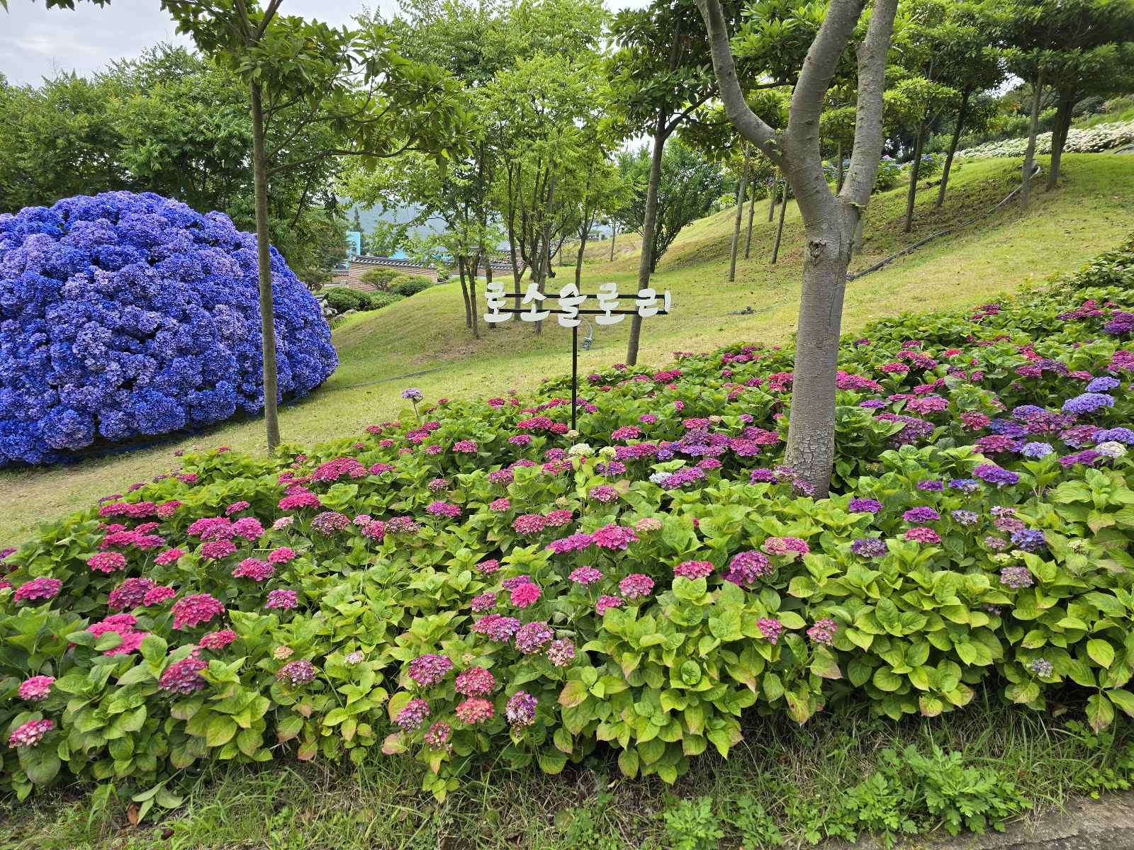 신안수국정원