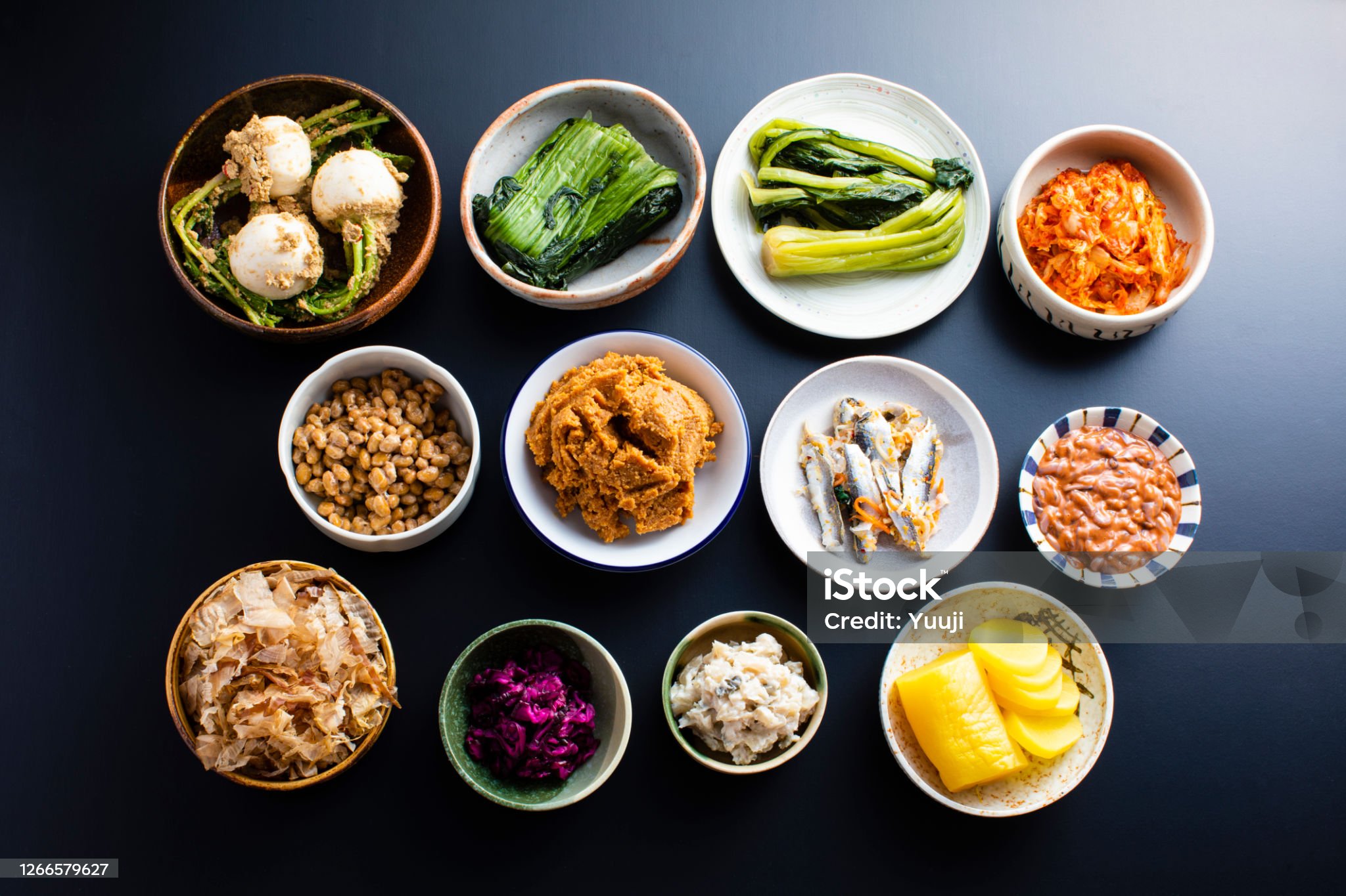 유산균 고르는 기준, 건강기능식품 유산균으로 갱년기를 극복하자.