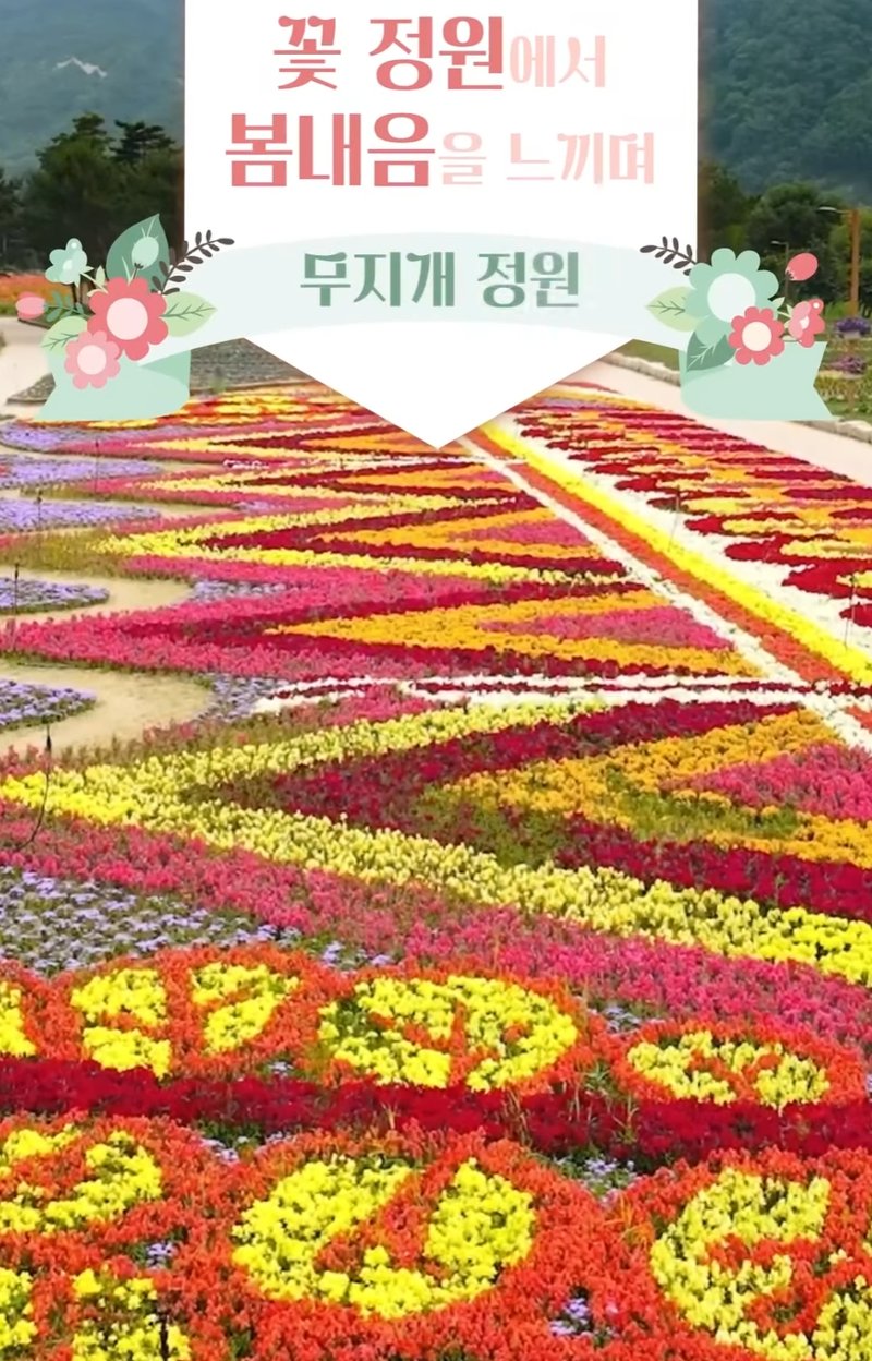 무지개 정원 꽃밭 전경