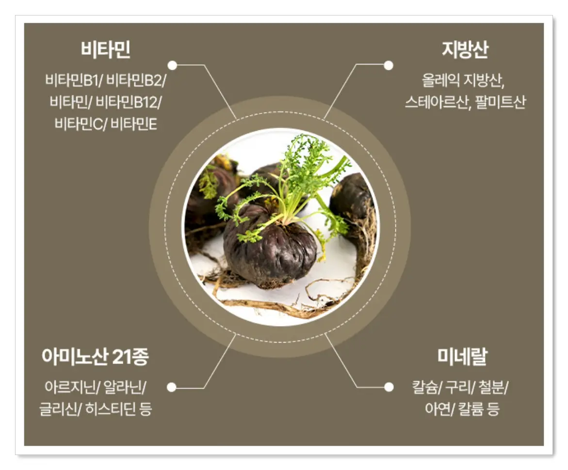 광동 블랙마카 365 효과