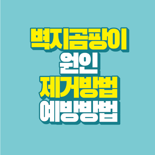 썸네일-벽지곰팡이-원인-제거방법-예방방법