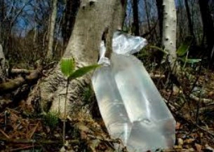 고로쇠물 유통기한 보관방법