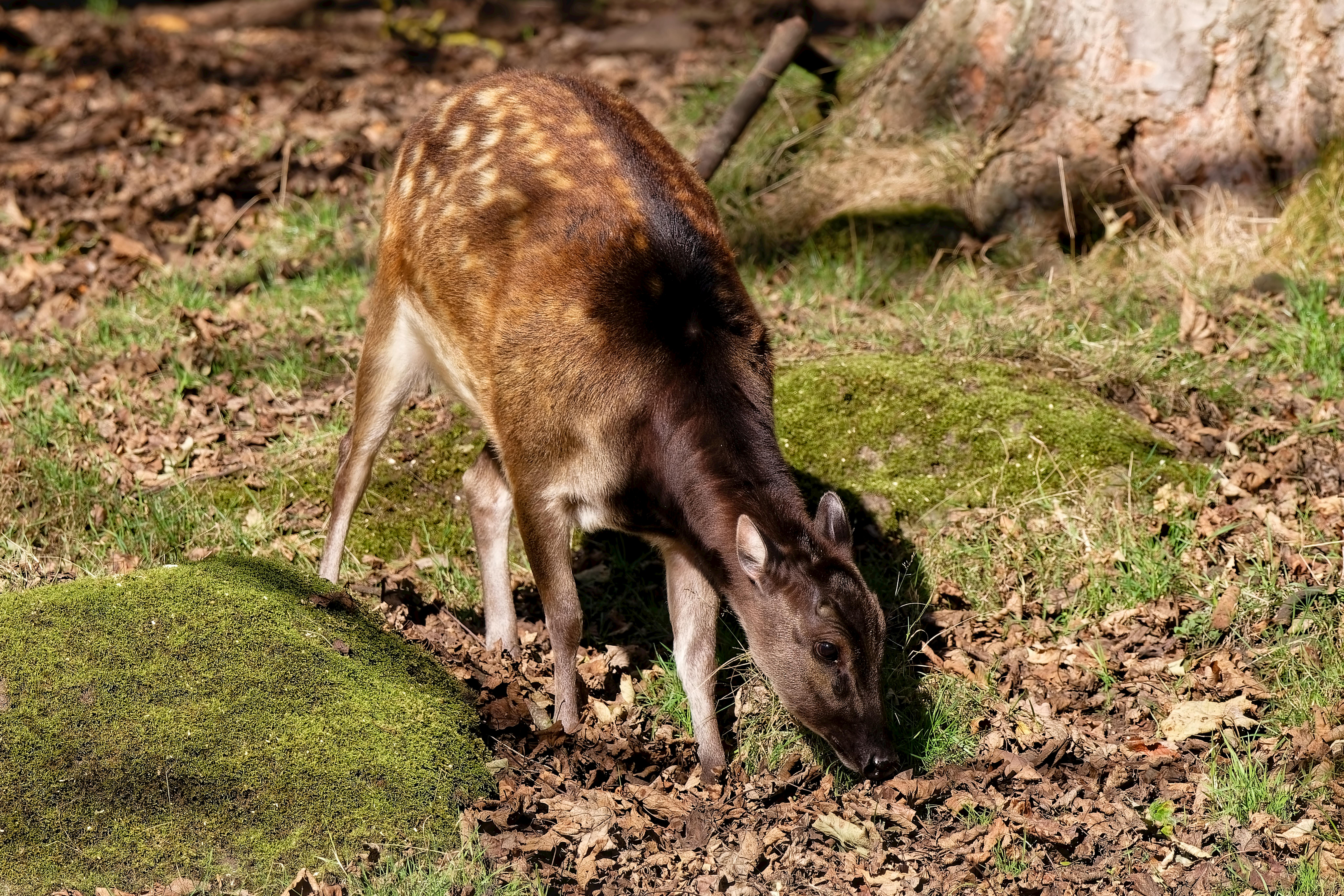 귀신에게 기도를 하는을 상징하는 이미지