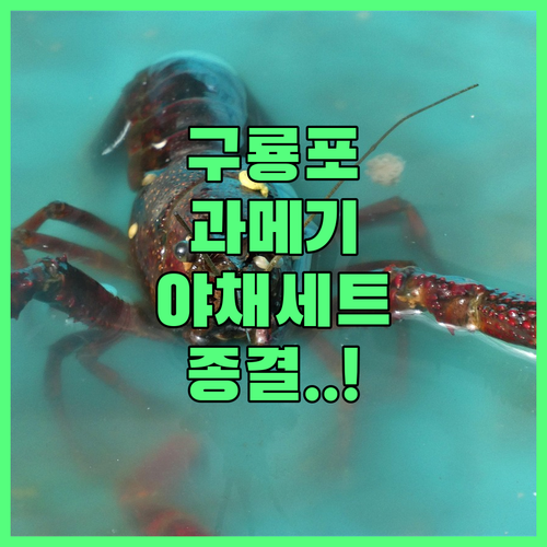 구룡포 과메기 야채세트 추천 제품별 ..