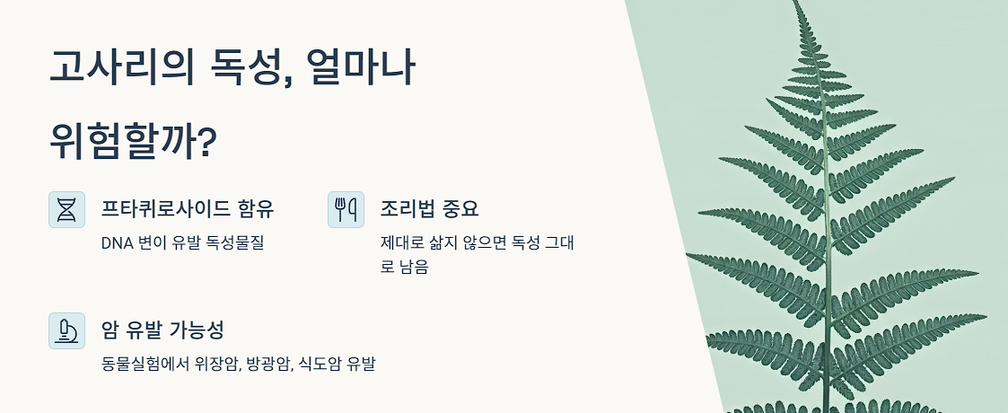 고사리의 독성, 얼마나 위험할까?