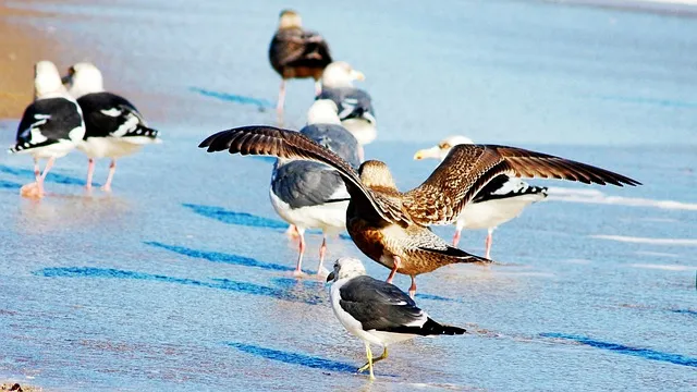 강릉 가볼만한곳 베스트10