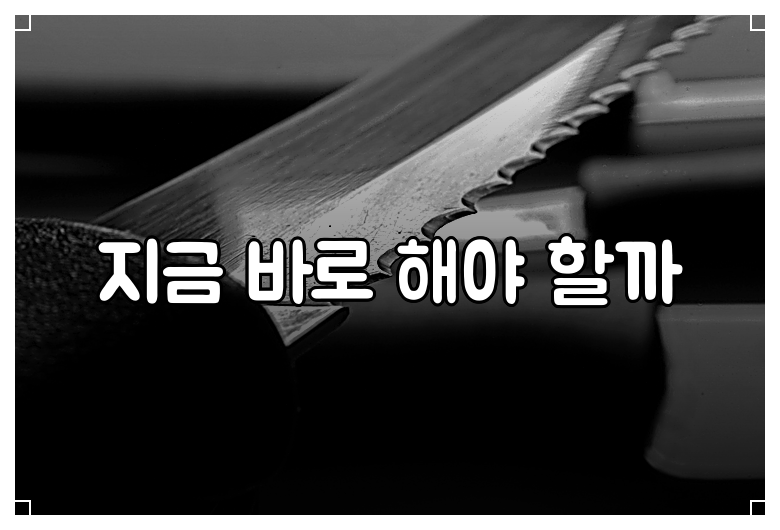 지금 바로 해야 할까