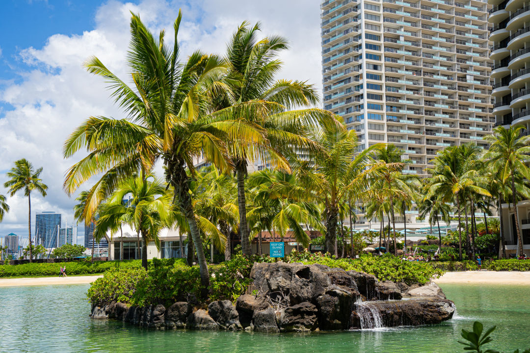 하와이 힐튼 라군