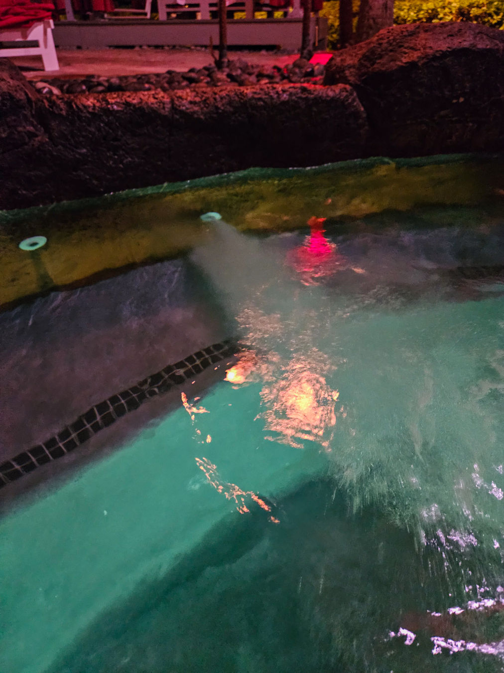 쉐라톤 와이키키 수영장 자쿠지