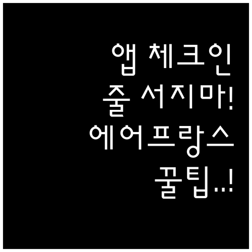 에어프랑스 앱으로 체크인하고 공항 줄..