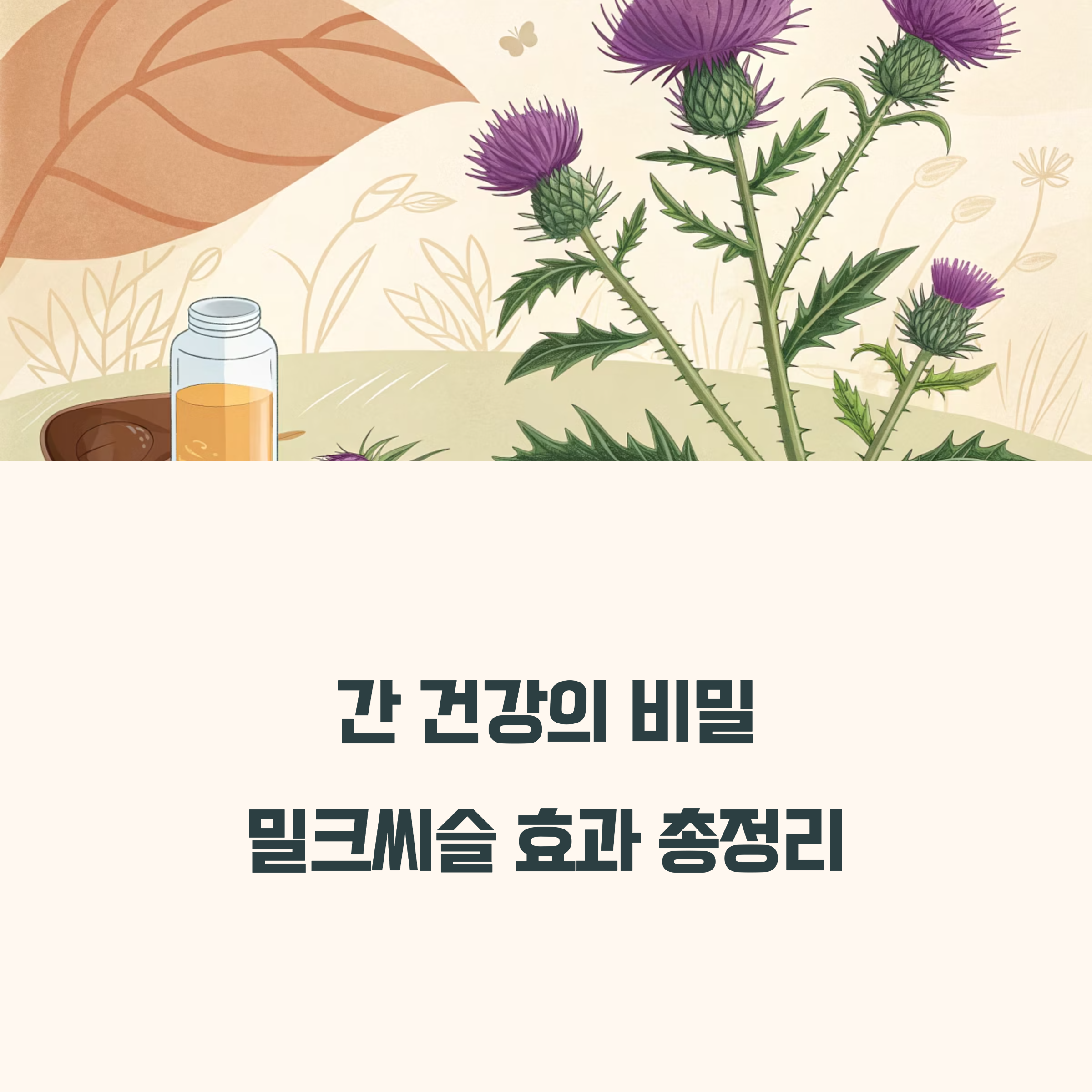 밀크씨슬 간 해독 효과