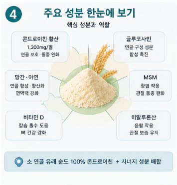 포사인콘드로친-뜻-효능-가격-추천-내돈내산-후기