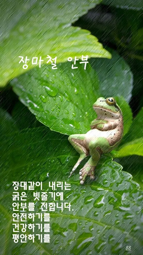 장마철 인사말 모음 예시 멘트_1