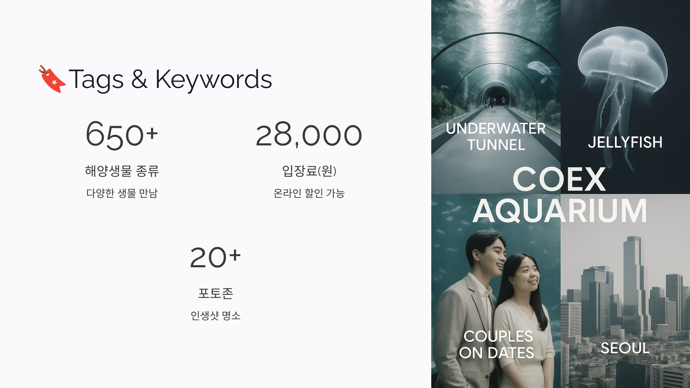 코엑스-아쿠아리움-11