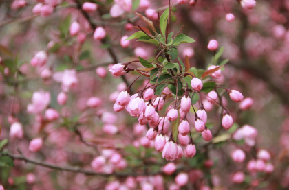 호텔 체크인 및 봄나들이