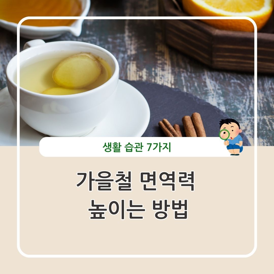 가을철 면역력 높이는 생활 습관 방법 정리