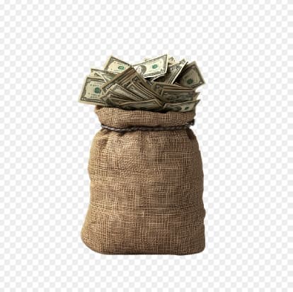 돈이 일하게 만드는 법 : 투자란 무엇인가?