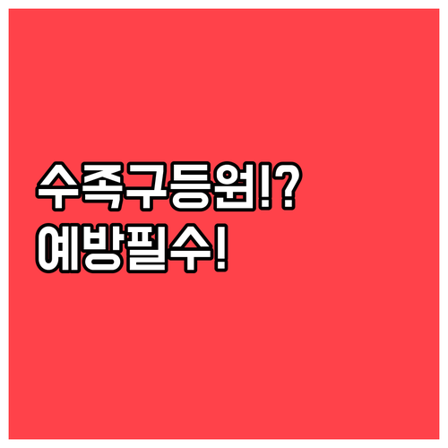 수족구 어린이집 등원 가능 조건과 예..