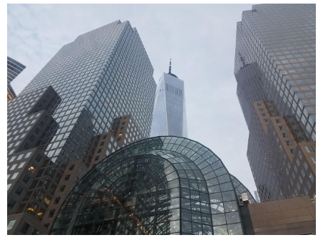 트럼프 관세폭탄