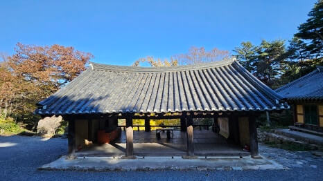 서산 흥주사 : 900년 은행나무의 전설과 백화산의 정취를 품은 고찰