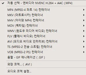 오캠의 지원 포맷