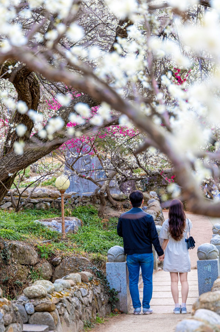 광양 매화축제 체험 행사장